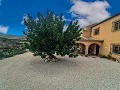 Hermosa villa/casa cueva de 4 dormitorios en Fortuna in Spanish Fincas