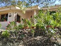 2 Bedroom 2 Bathroom Country Home in Spanish Fincas