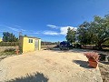 Wooden country house in Aspe in Spanish Fincas