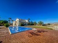 Luxury tradicional villa in Novelda  in Spanish Fincas