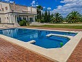 Luxury tradicional villa in Novelda  in Spanish Fincas