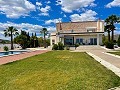 Luxury tradicional villa in Novelda  in Spanish Fincas