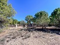 Indrukwekkende villa met 9 slaapkamers in Biar in Spanish Fincas