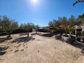 Haus mit 2 Schlafzimmern und herrlicher Aussicht in Spanish Fincas