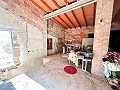 Huge house in the countryside with plots in Pinoso in Spanish Fincas