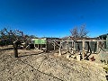 Schönes Landhaus mit Pool in Agost in Spanish Fincas