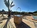 Belle bastide avec piscine à Agost in Spanish Fincas