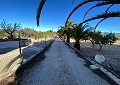 Villa de 3 chambres et 1 salle de bain très bien située avec piscine et maison d'hôtes de 2 étages à Sax in Spanish Fincas