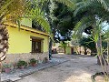 Villa with 3 Beds & 2 Bathrooms Walk to town in Novelda in Spanish Fincas