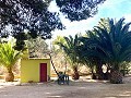 Villa with 3 Beds & 2 Bathrooms Walk to town in Novelda in Spanish Fincas