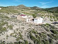 Maison de campagne de 5 chambres et 1 salle de bain à Caudete in Spanish Fincas