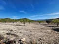 Casa de Campo de 5 Dormitorios y 1 Baño en Caudete in Spanish Fincas