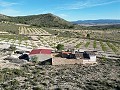 Maison de campagne de 5 chambres et 1 salle de bain à Caudete in Spanish Fincas