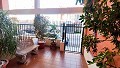 Wonderful duplex with terrace in Elche in Spanish Fincas