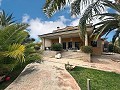 Incredible luxury mansion in Elda in Spanish Fincas