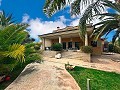 Incredible luxury mansion in Elda in Spanish Fincas