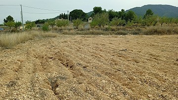 Building Plot in Monovar