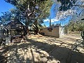 Maison de campagne à rénover à Jumilla in Spanish Fincas