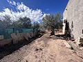 Maison de campagne à rénover à Jumilla in Spanish Fincas