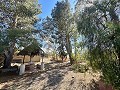 Landhaus zum Renovieren in Jumilla in Spanish Fincas