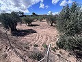 Landhaus zum Renovieren in Jumilla in Spanish Fincas