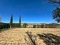 Maison de campagne spacieuse de 8 pièces à rénover à Yecla in Spanish Fincas