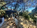 Geräumiges Landhaus mit 8 Zimmern zum Renovieren in Yecla in Spanish Fincas