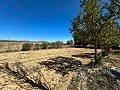 Geräumiges Landhaus mit 8 Zimmern zum Renovieren in Yecla in Spanish Fincas