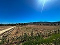 5000 Quadratmeter großes Grundstück mit unglaublicher Aussicht in Yecla in Spanish Fincas