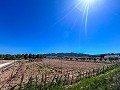 Parcela de 5000 metros cuadrados con increibles vistas en Yecla in Spanish Fincas