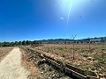 5000 square meter plot with incredible views in Yecla in Spanish Fincas