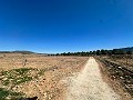 Parcela de 5000 metros cuadrados con increibles vistas en Yecla in Spanish Fincas