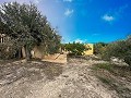 Belle villa avec piscine et 5 chambres à Sax in Spanish Fincas