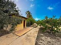 Belle villa avec piscine et 5 chambres à Sax in Spanish Fincas