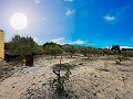 Belle villa avec piscine et 5 chambres à Sax in Spanish Fincas