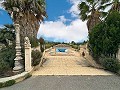 Beautiful villa with pool and 5 bedrooms in Sax in Spanish Fincas