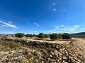 Huge building plots with incredible views in Yecla in Spanish Fincas