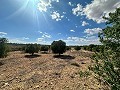 Huge building plots with incredible views in Yecla in Spanish Fincas