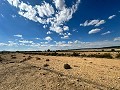 Riesige Baugrundstücke mit unglaublicher Aussicht in Yecla in Spanish Fincas