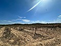 Immenses terrains à bâtir avec des vues incroyables à Yecla in Spanish Fincas