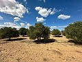 Immenses terrains à bâtir avec des vues incroyables à Yecla in Spanish Fincas