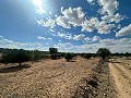 Riesige Baugrundstücke mit unglaublicher Aussicht in Yecla in Spanish Fincas