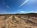 Immenses terrains à bâtir avec des vues incroyables à Yecla in Spanish Fincas