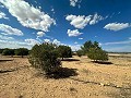 Riesige Baugrundstücke mit unglaublicher Aussicht in Yecla in Spanish Fincas