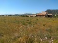 Terrain à Aspe in Spanish Fincas