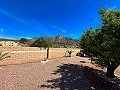 Magnifique villa avec cuisine d'été à Barinas in Spanish Fincas