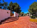 Mansion between Monóvar and Novelda in Spanish Fincas