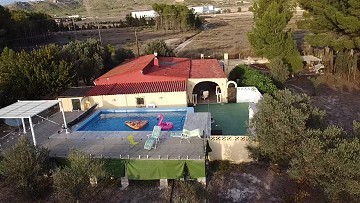 Villa de 3 dormitorios y 2 baños en Sax con piscina y vistas