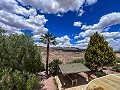 Magnificent villa with pool in Hondon De Los Frailes in Spanish Fincas