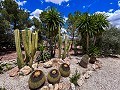 Prachtige villa met zwembad in Hondon De Los Frailes in Spanish Fincas